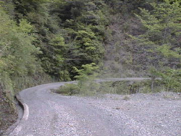 大木屋小石川林道