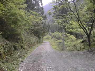 大木屋小石川林道