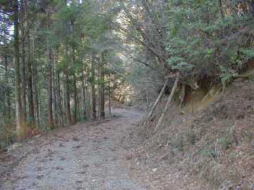 竹屋敷林道