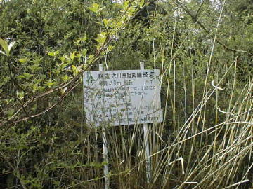 野間殿川内林道