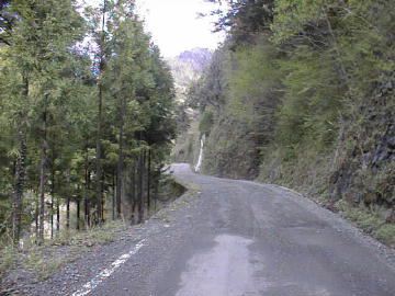 剣山スーパー林道