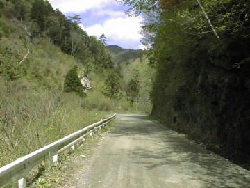 剣山スーパー林道