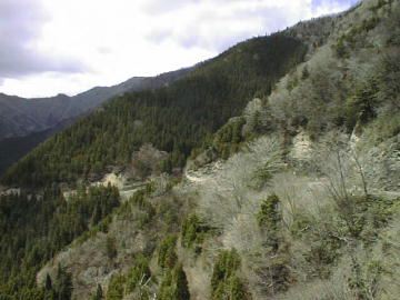 剣山スーパー林道