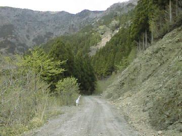 剣山スーパー林道