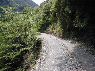 湯桶平井林道