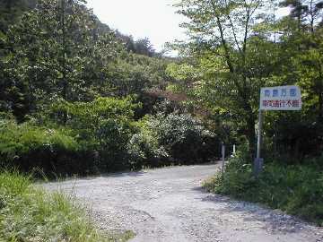 県道80（東広島向原線）