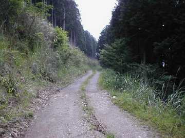 岩野白蔵林道