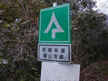 板谷林道