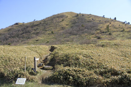 県道44（三加茂東祖谷山線）