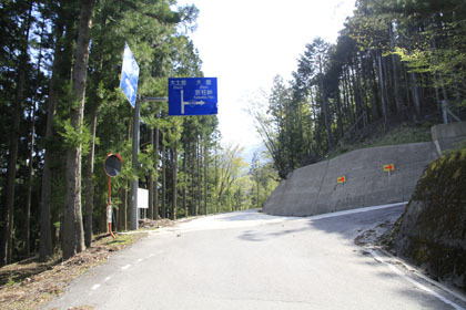 祖谷山笹谷林道