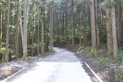 祖谷山笹谷林道