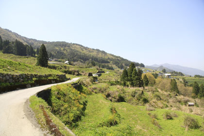 楮左古小檜曽林道
