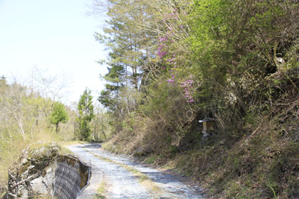 楮左古小檜曽林道