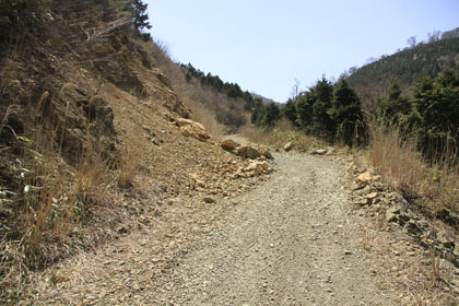 楮左古小檜曽林道
