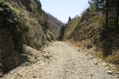 楮左古小檜曽林道