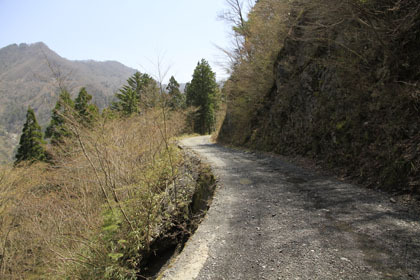 楮左古小檜曽林道