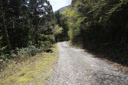 楮左古小檜曽林道