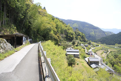 楮左古小檜曽林道