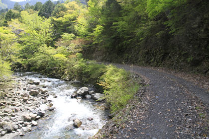 宇筒舞林道・中津尾林道