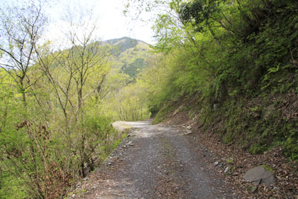 宇筒舞林道・中津尾林道