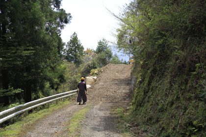 宇筒舞林道・中津尾林道