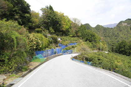 宇筒舞林道・中津尾林道