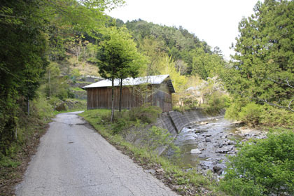 東川千本谷林道