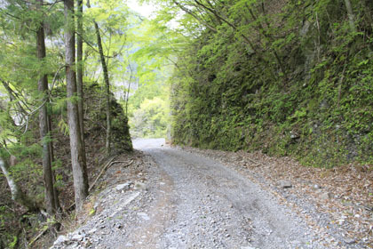 東川千本谷林道