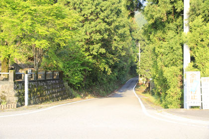 笹無池ヶ谷林道