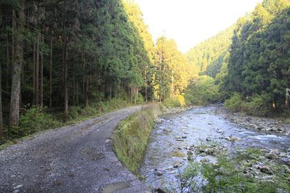 笹無池ヶ谷林道