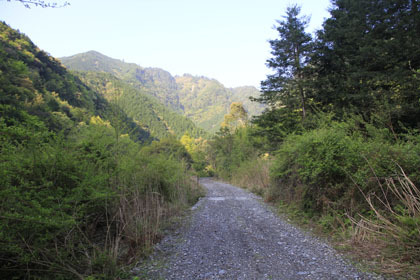 笹無池ヶ谷林道