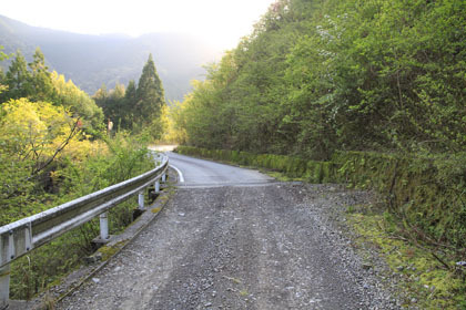 笹無池ヶ谷林道