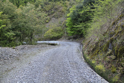 笹無池ヶ谷林道