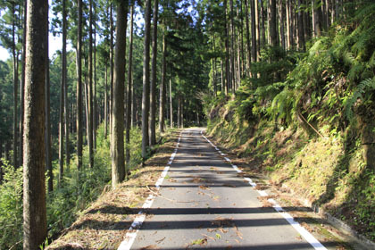 竹屋敷林道
