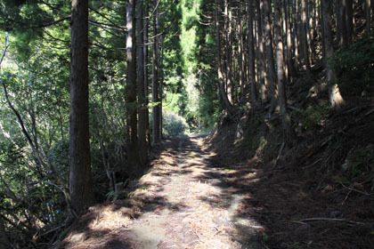 竹屋敷林道