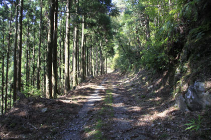 竹屋敷林道