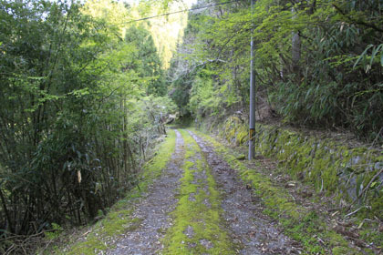 竹屋敷林道