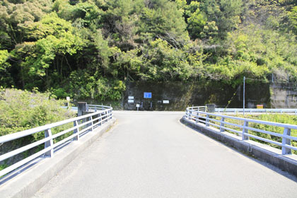 野川林道