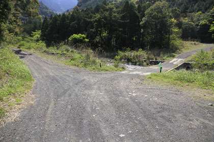 野川林道