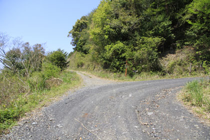 野川林道