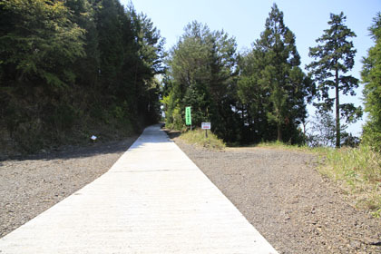 野川林道