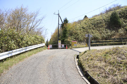 野川林道