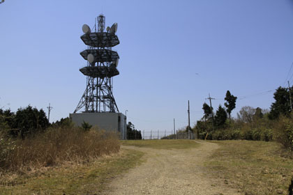 野川林道