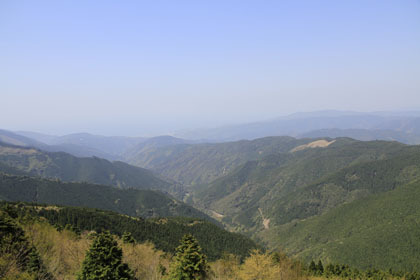 野川林道