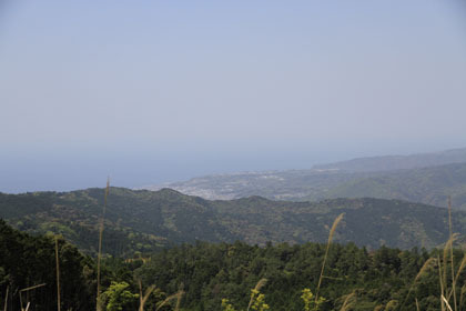 須川林道