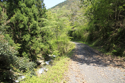 須川林道
