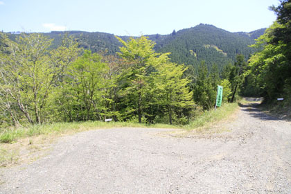 野川須川林道