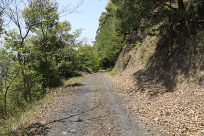 野川須川林道