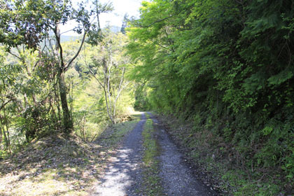 野川須川林道