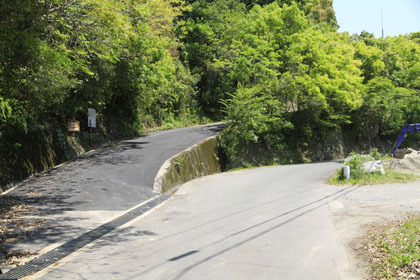上杉林道